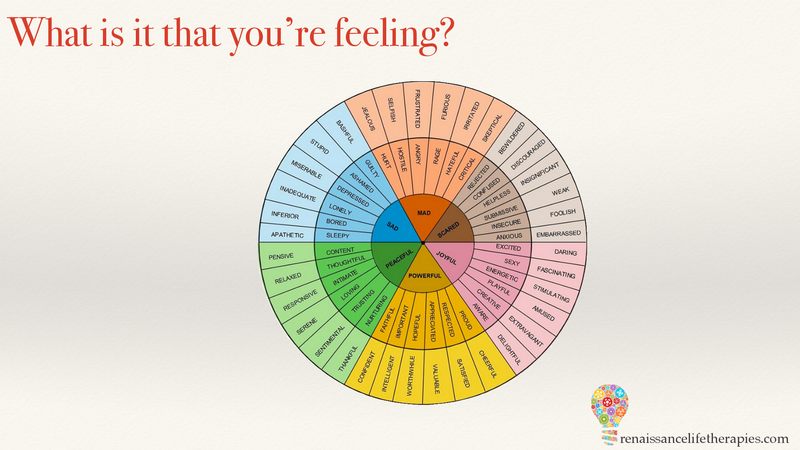 emotional intelligence wheel